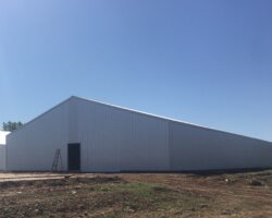 50x100x10 White
