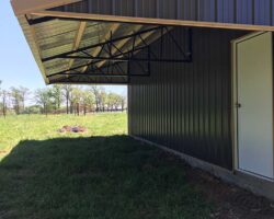 Img 3771 (1)
